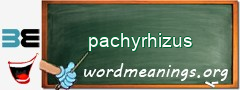 WordMeaning blackboard for pachyrhizus